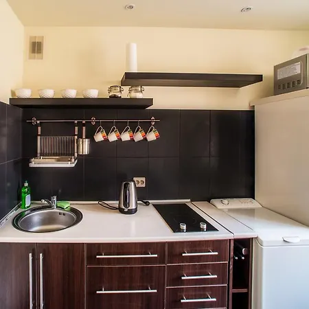 Apartment In Druskininkai