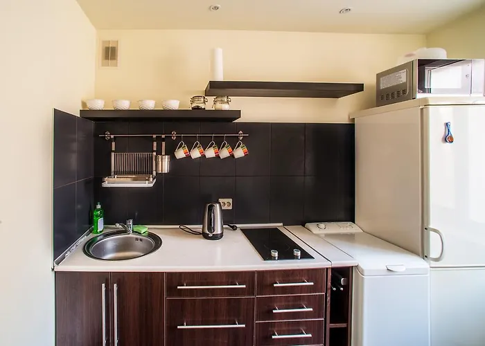 Apartment In Druskininkai