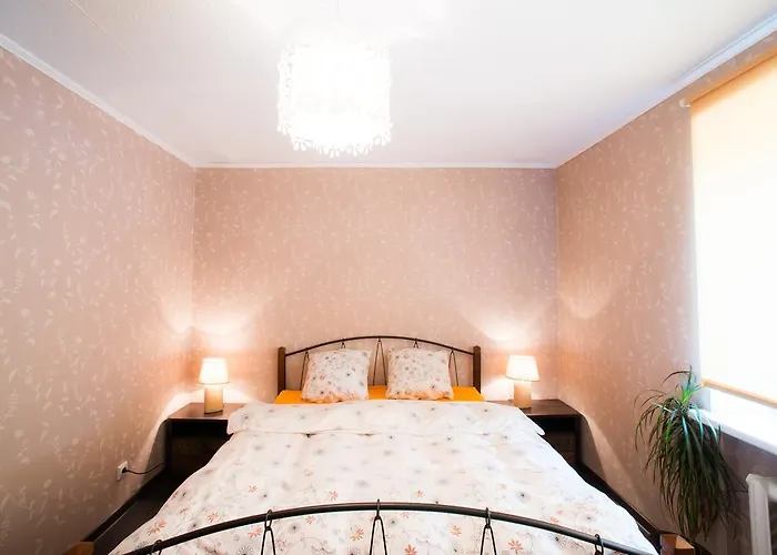 Apartment In Druskininkai